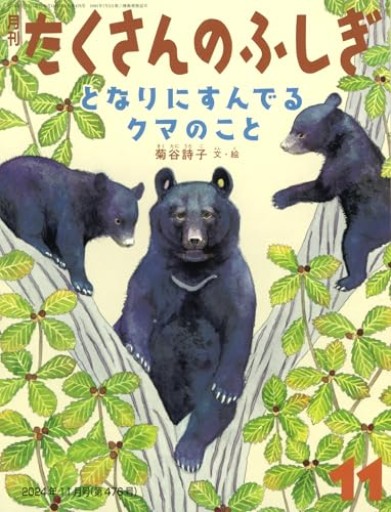 となりにすんでるクマのこと（たくさんのふしぎ2024年11月号） - あさぎ書房