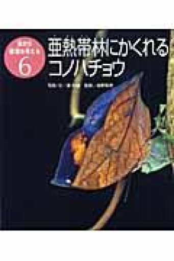 亜熱帯林にかくれるコノハチョウ（虫から環境を考える） - クワガタ書林