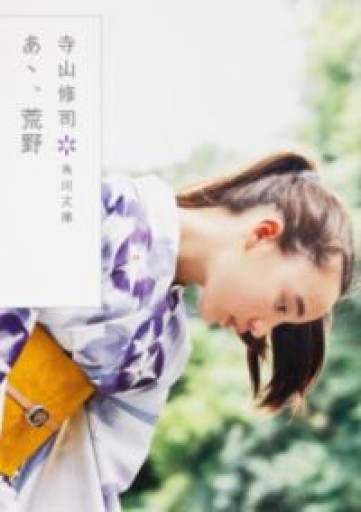 あゝ、荒野（角川文庫） - 青熊書店