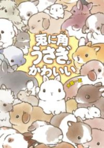 兎に角うさぎがかわいい - EMMY & UTAMI工房