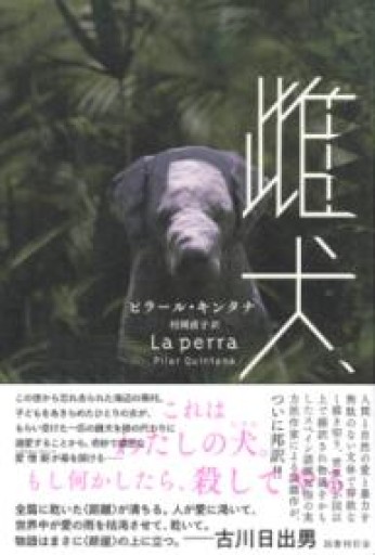 🇨🇴雌犬 - 熱帯書店