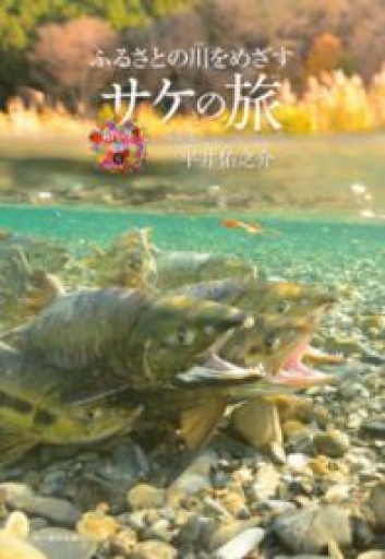 ふるさとの川をめざす サケの旅（命のつながり 6） - 夜鷹文庫（よるたかぶんこ）