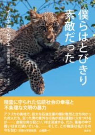 僕らはとびきり素敵だった - 熱帯書店