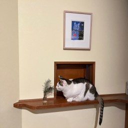 遊歩道 八戸おさむ