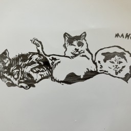 木下眞穂の本棚