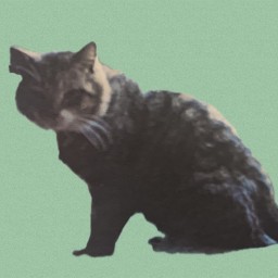 Telemachus The Tapestry Cat