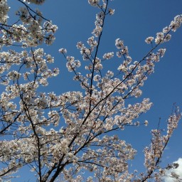 本棚の向こう側