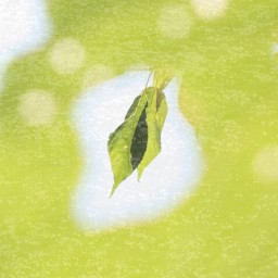 からだとこころと暮らす棚