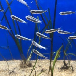 サニーブックセラーズ