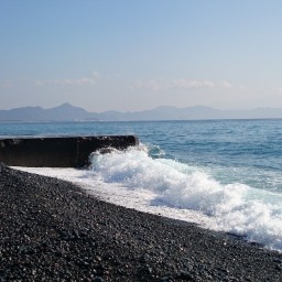活字の砂漠で溺れたい
