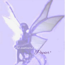 papier®︎ RIVE GAUCHE