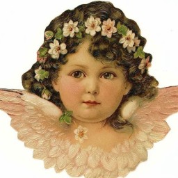 Camellia(カメリア)