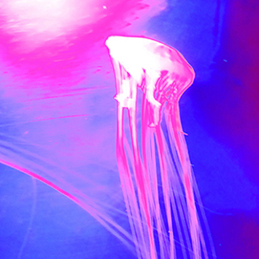 ユータナジーロクマルロク