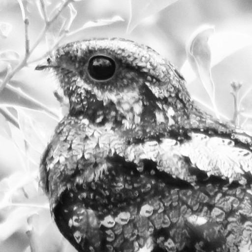 夜鷹文庫（よるたかぶんこ）