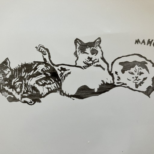 木下眞穂の本棚