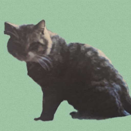 Telemachus The Tapestry Cat