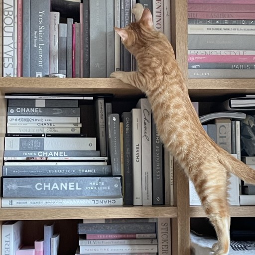 司書ねこ選 REN's  BOOK SHOP
