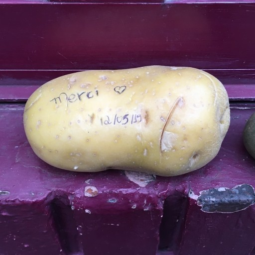 Librairie Delambre(ドランブル書店)