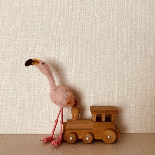 ふらみんご親子の本屋さん